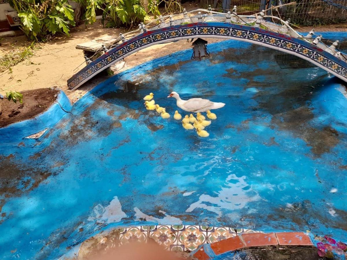 La Posada Del Sol Villa Gesell Kültér fotó