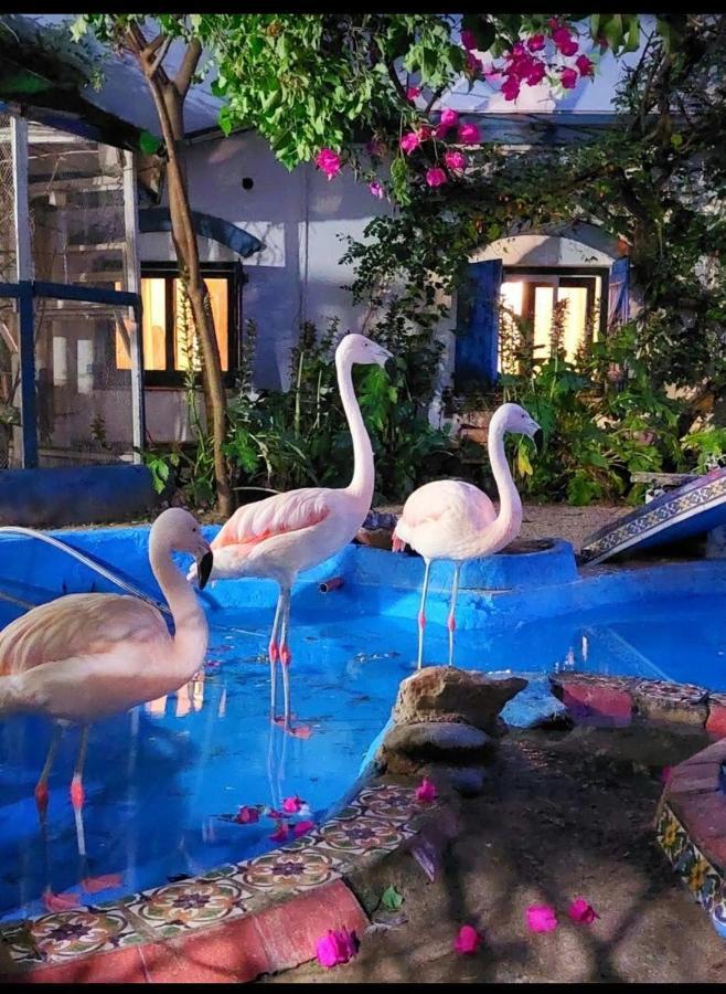 La Posada Del Sol Villa Gesell Kültér fotó